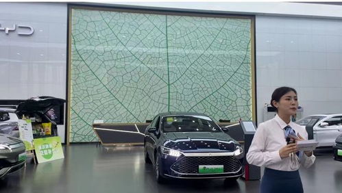 比亞迪超大眾登頂中國(guó)汽車銷量第一 小編探店看看是否名不符實(shí)