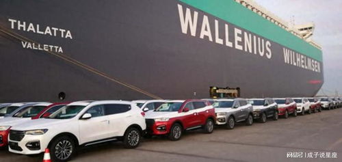 打不贏就制裁 歐盟對中國電動汽車發(fā)起反補貼調(diào)查, 或加收關(guān)稅